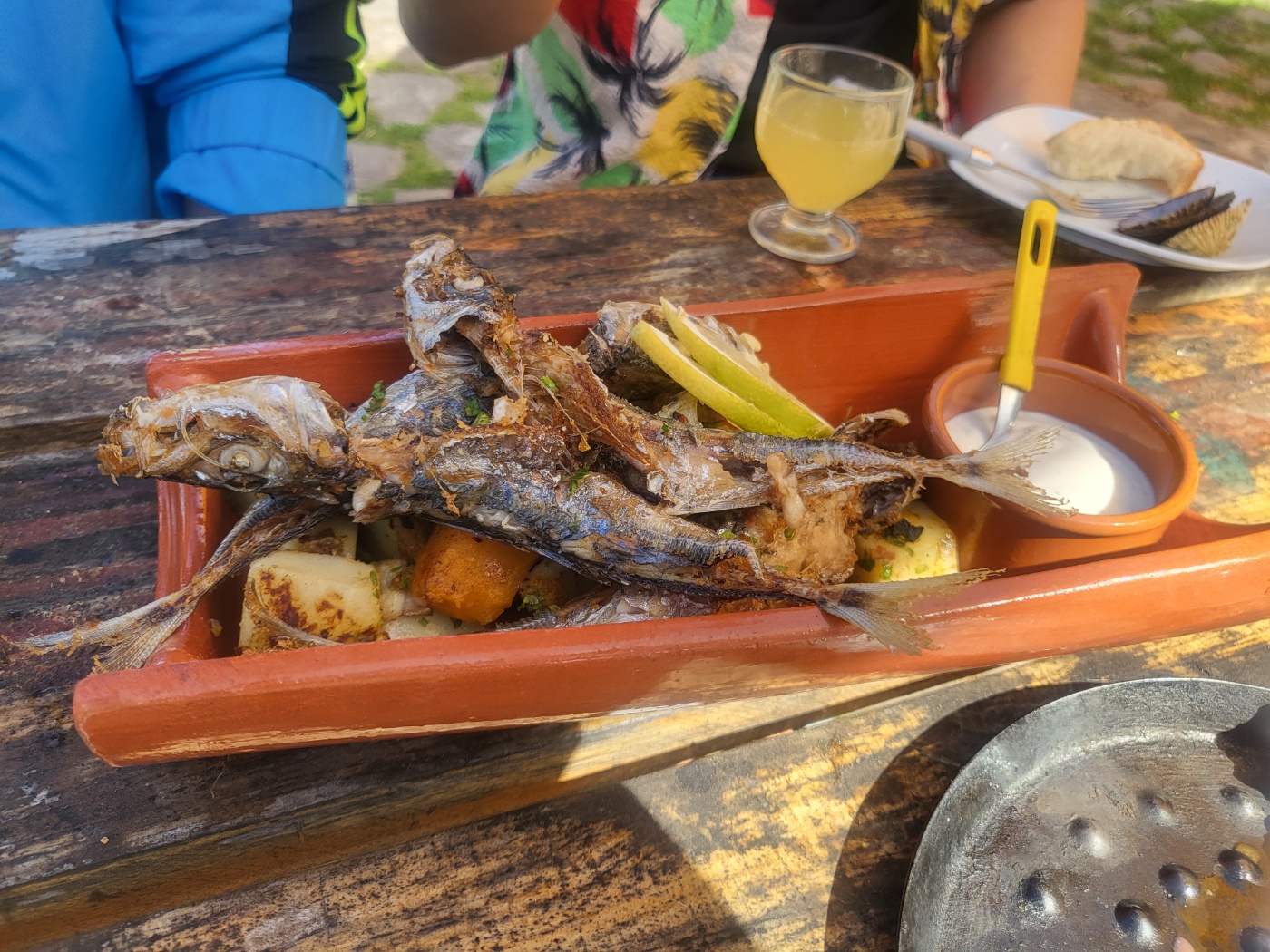 Calhau das Achadas da Cruz fish